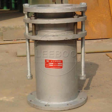 陕西省汉中市勉县钢制伸缩节